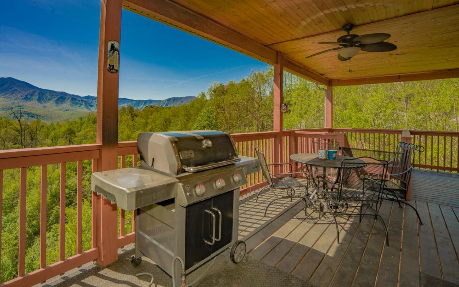 Beartastic Mountain View Lodge Gatlinburg Eksteriør bilde